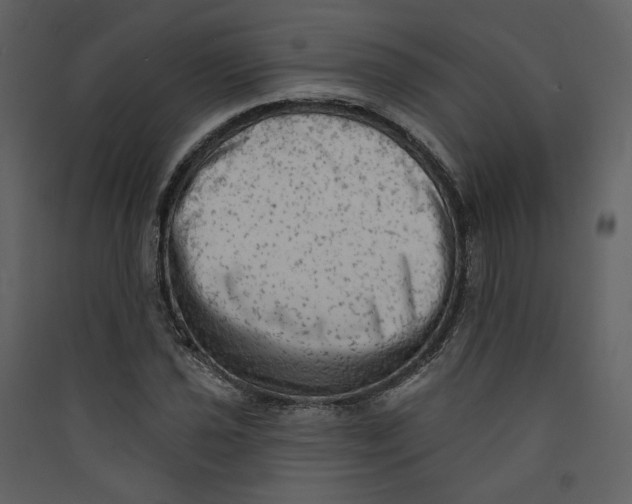 X0000089381021200707131654