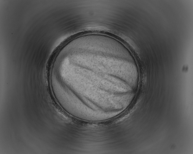 X0000089381022200707131654