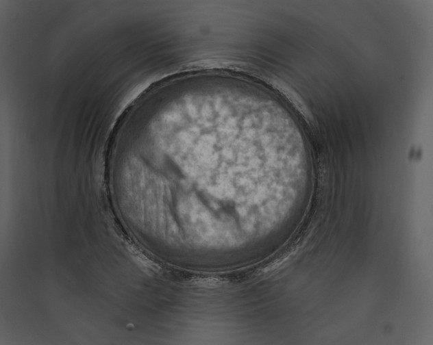 X0000089381023200707131654