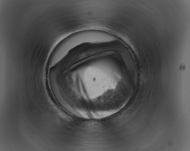 X0000089381024200707131654