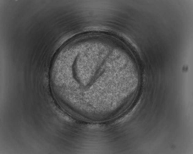 X0000089381025200707131654