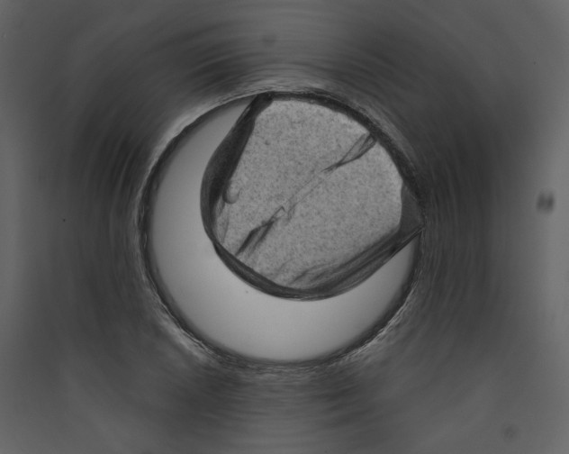 X0000089381026200707131654