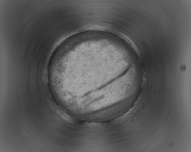 X0000089381027200707131654