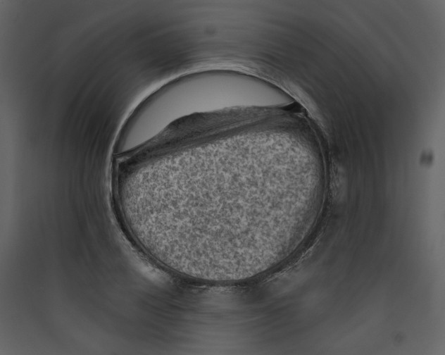 X0000089381028200707131654