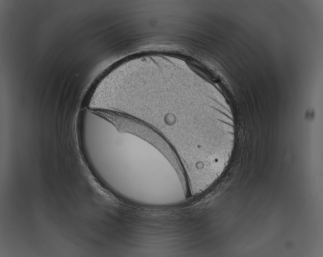 X0000089381030200707131654