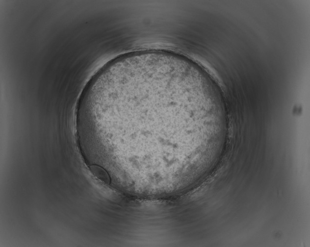 X0000089381031200707131654