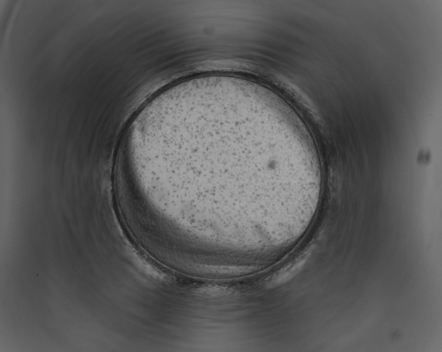 X0000089381033200707131654