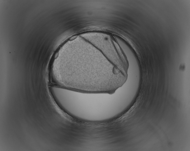 X0000089381034200707131654