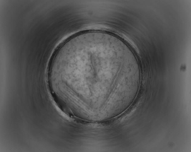 X0000089381037200707131654