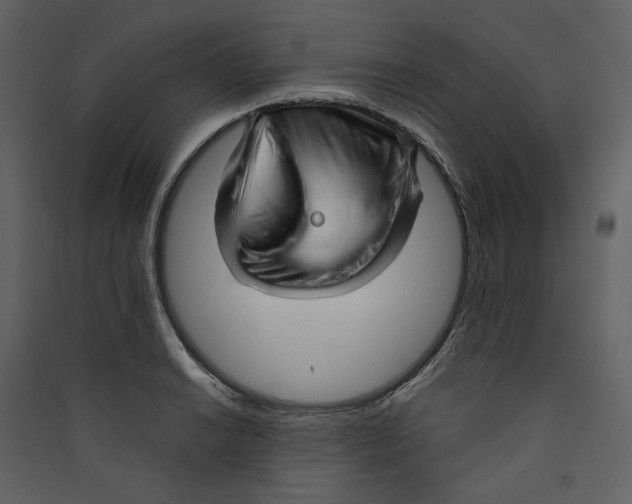 X0000089381038200707131654