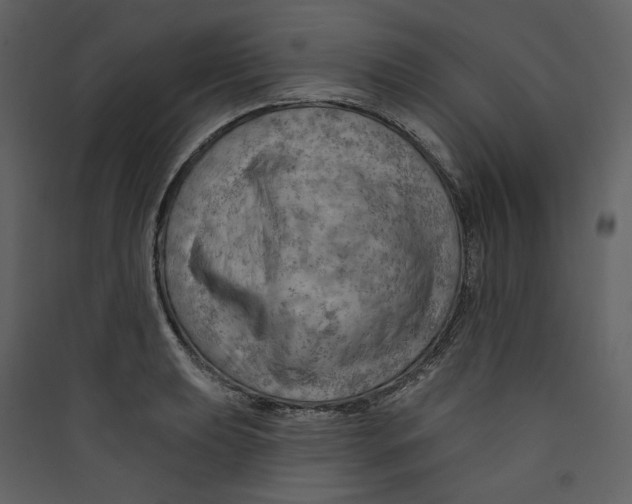 X0000089381039200707131654