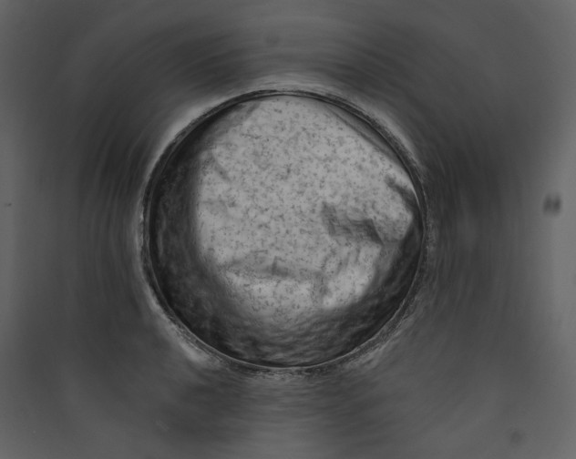 X0000089381040200707131654