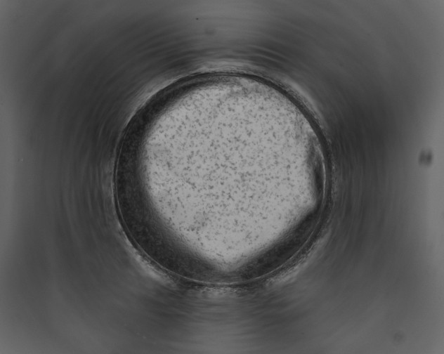 X0000089381041200707131654