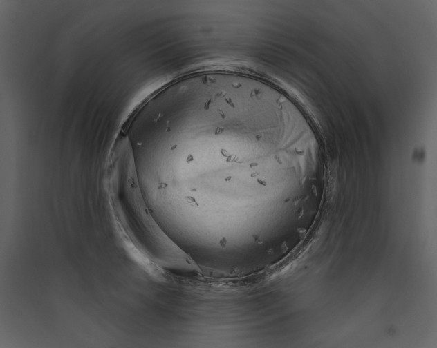 X0000089381042200707131654