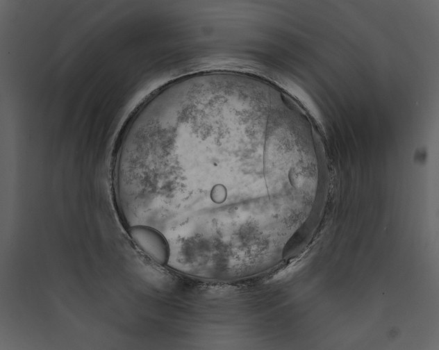 X0000089381043200707131654