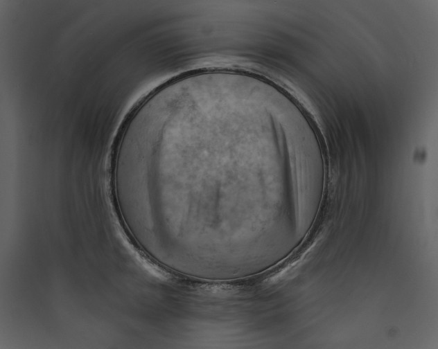 X0000089381045200707131654