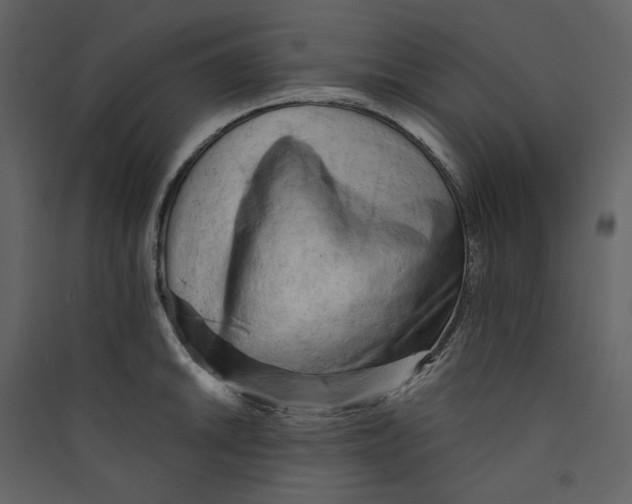 X0000089381046200707131654