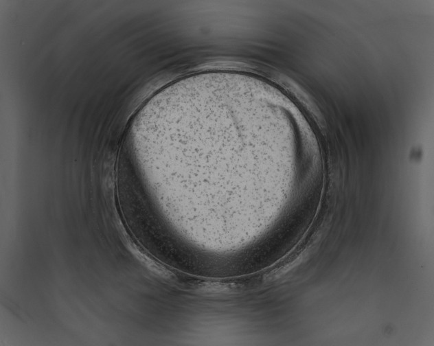 X0000089381049200707131654