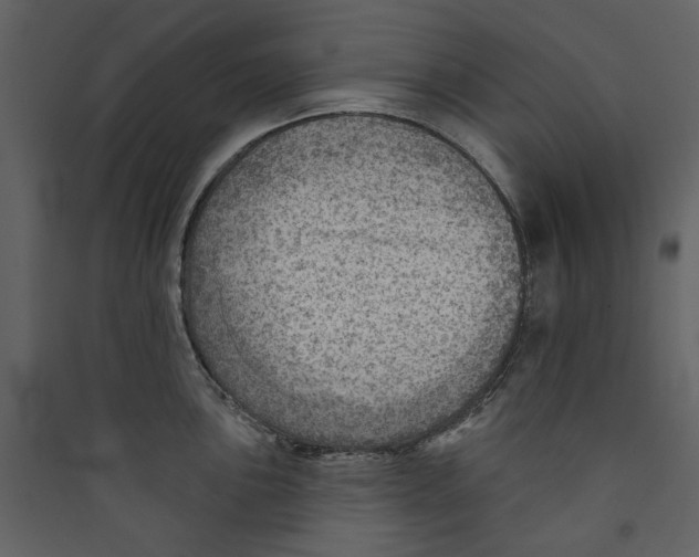 X0000089381051200707131654