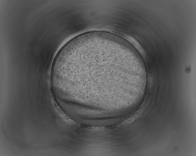 X0000089381052200707131654