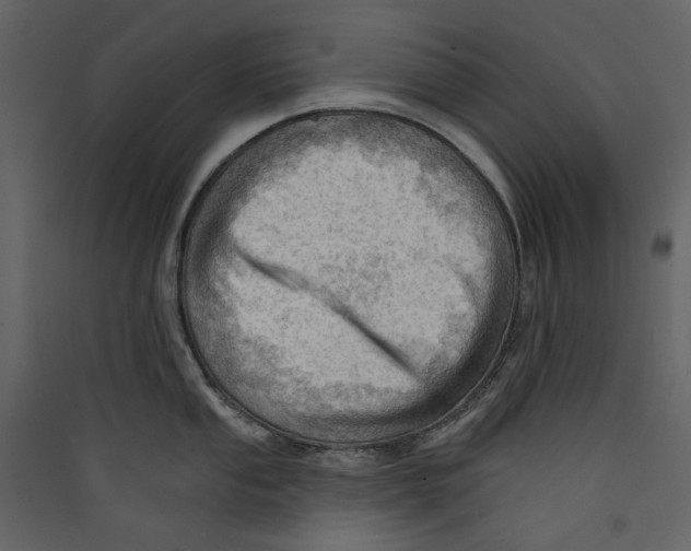 X0000089381053200707131654