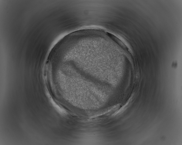 X0000089381054200707131654