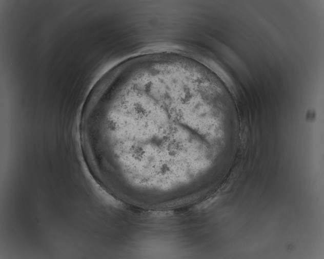 X0000089381055200707131654