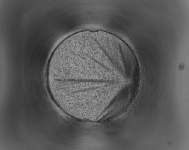 X0000089381056200707131654