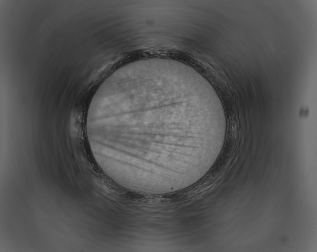 X0000089381060200707131653