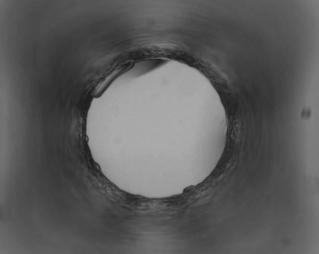 X0000089381061200707131653