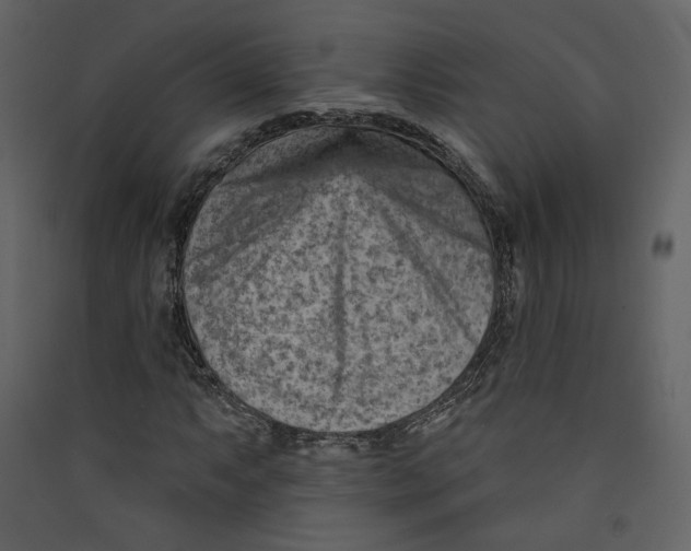 X0000089381063200707131653