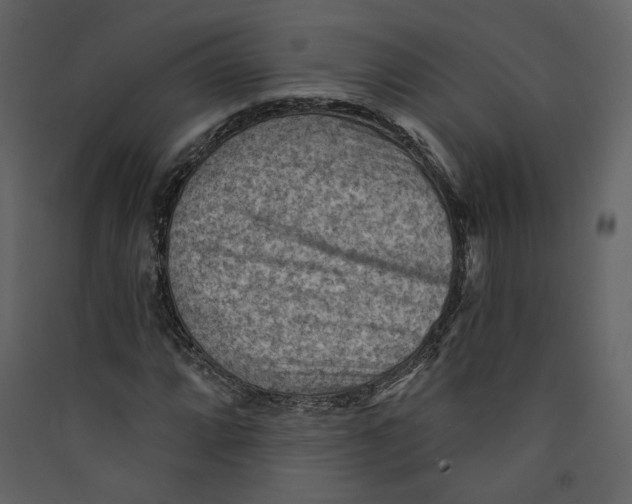 X0000089381064200707131653