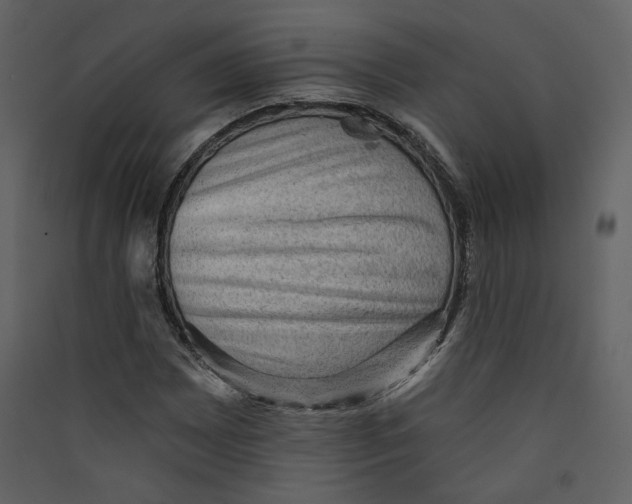 X0000089381065200707131653