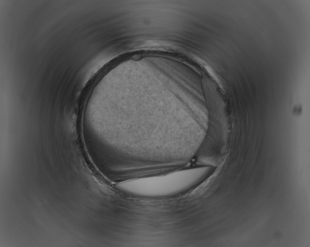 X0000089381066200707131653