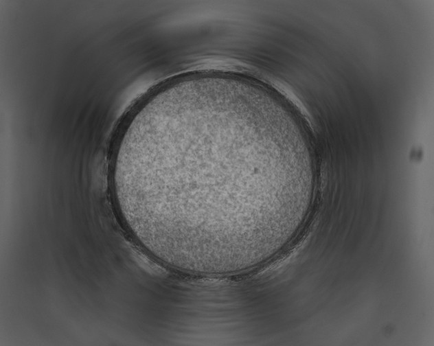 X0000089381067200707131653