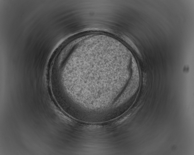 X0000089381068200707131653