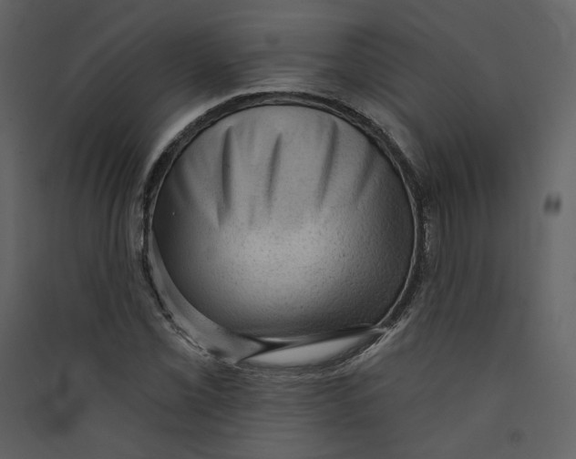 X0000089381069200707131653