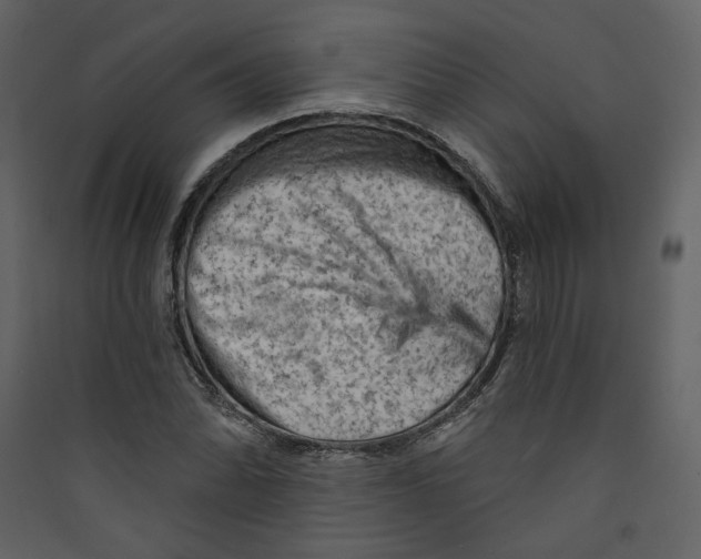 X0000089381070200707131653