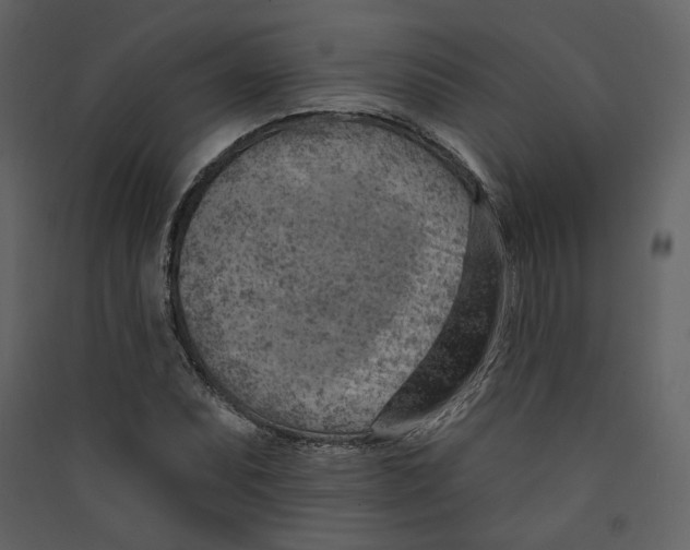 X0000089381071200707131653