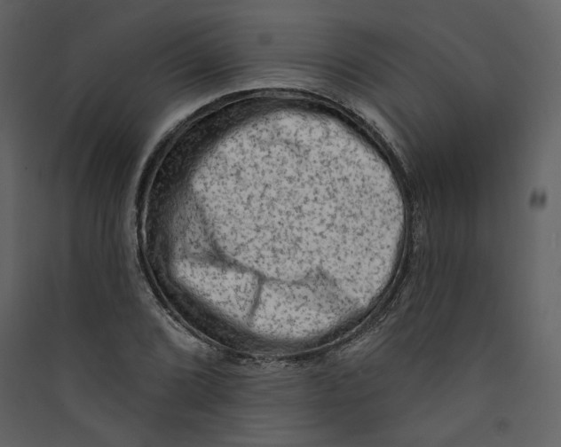 X0000089381072200707131653