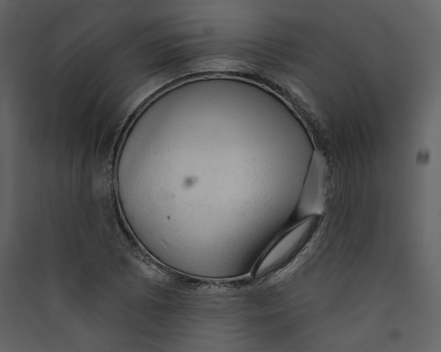 X0000089381073200707131653