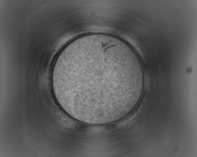 X0000089381074200707131653