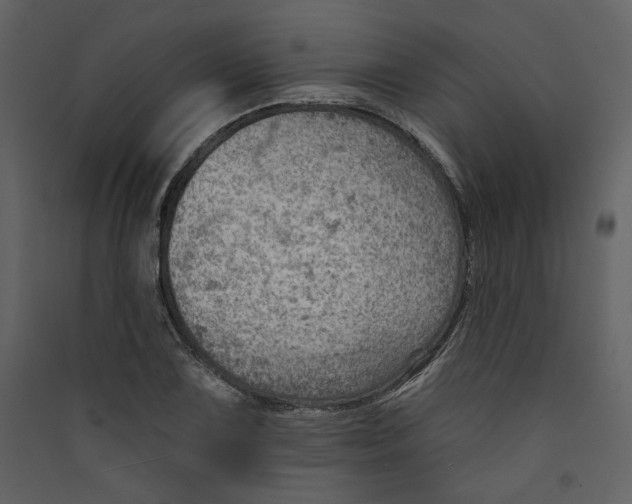 X0000089381075200707131653