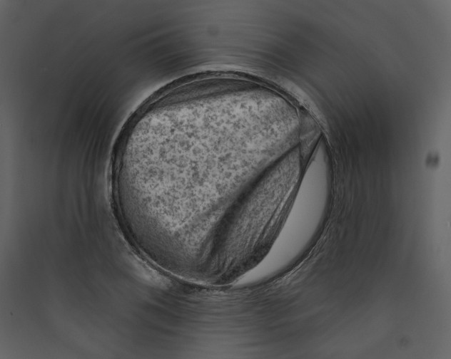 X0000089381076200707131653