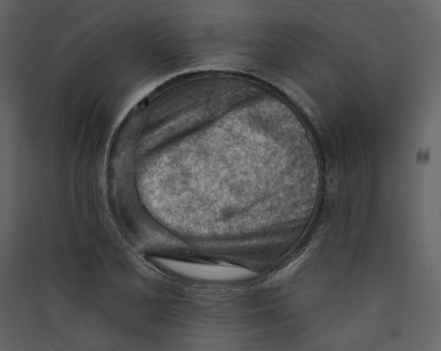 X0000089381077200707131653