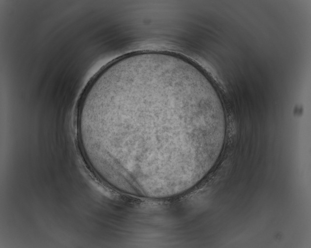 X0000089381078200707131653