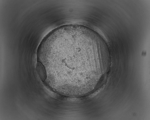 X0000089381079200707131653