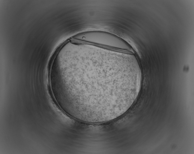 X0000089381080200707131653