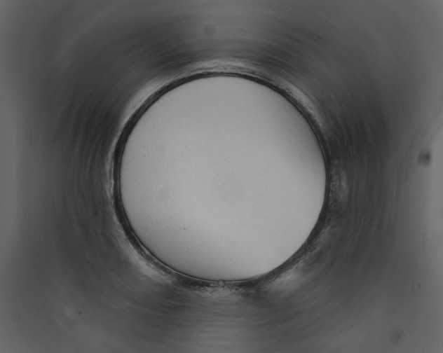 X0000089381082200707131653