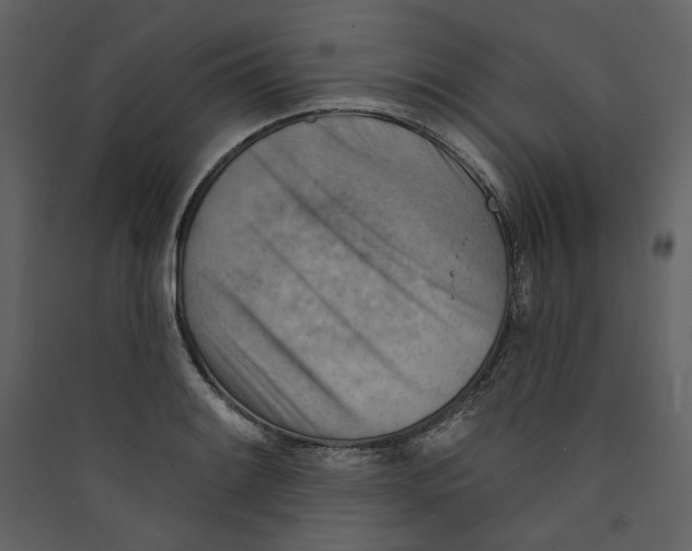 X0000089381084200707131653